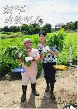 被窝影视美食综艺宝藏小馆海报